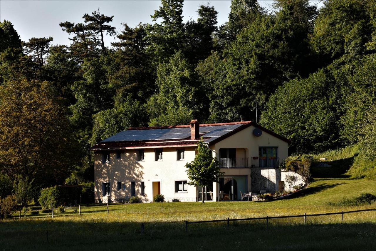 Guesthouse Idila Pod Nanosom Senozece Εξωτερικό φωτογραφία