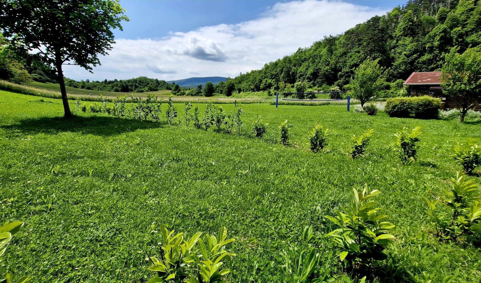 Guesthouse Idila Pod Nanosom Senozece Εξωτερικό φωτογραφία